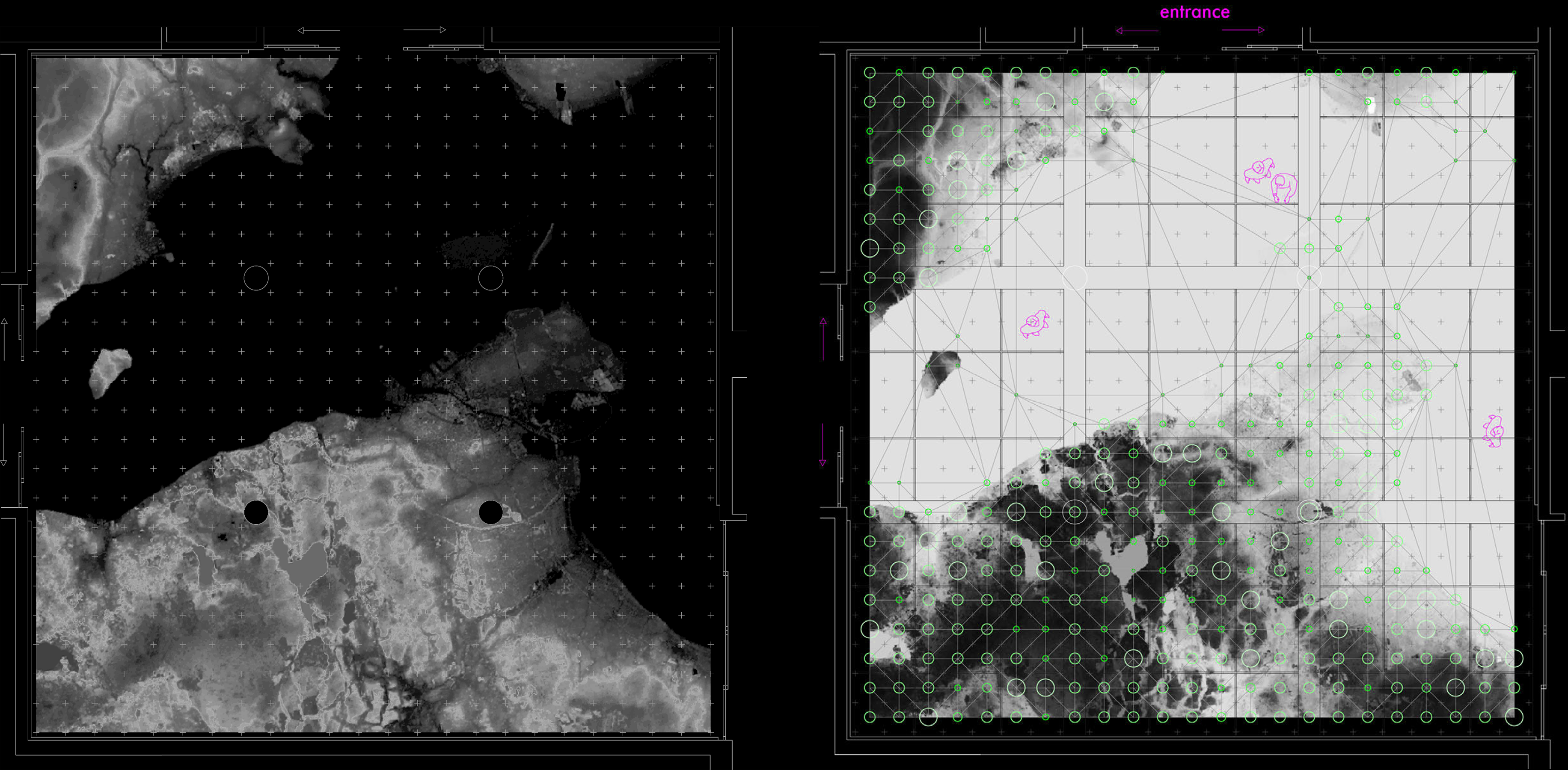 Deep Forest Image 1