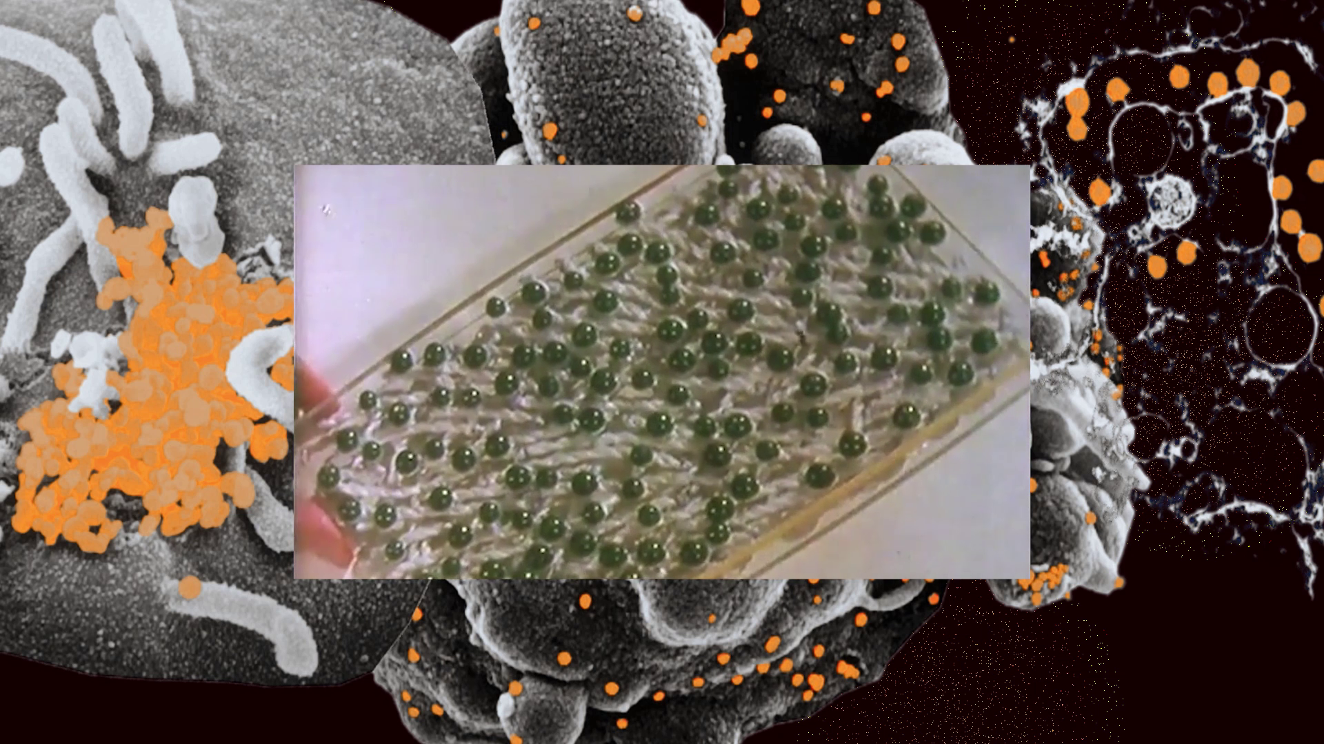Membranes Image 2